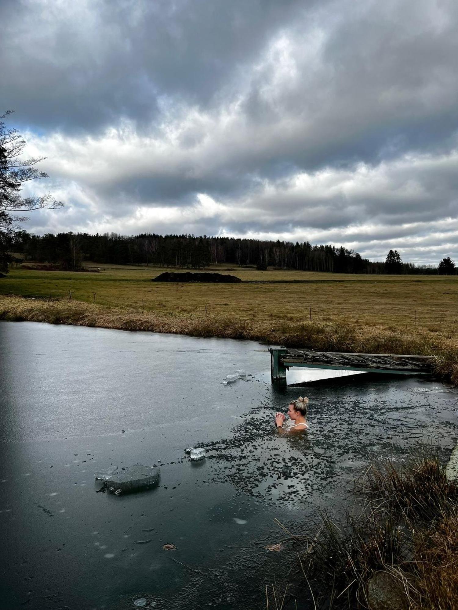 Klidna Lokalita Na Kraji Lesa, Cely Dum S Uschovnu Kol Villa Nová Bystřice Dış mekan fotoğraf